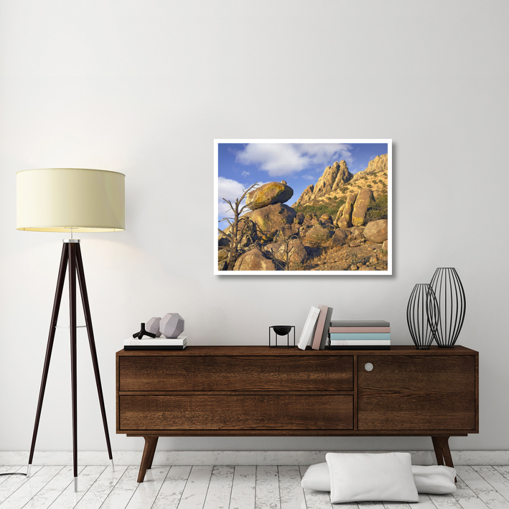 Rockpile, Davis Mountains, Chihuahuan Desert, Texas-Paper Art-42&quotx32"