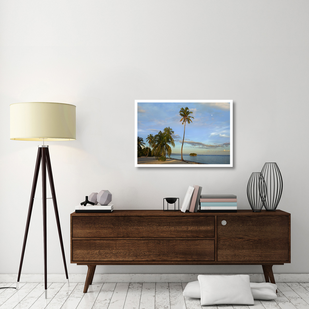 Coconut Palm trees on Pamilacan Island, Philippines-Paper Art-38&quotx26"