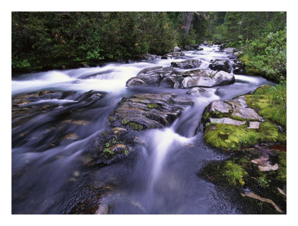 Paradise River, Mt Rainier National Park, Washington-Paper Art-26"x20"