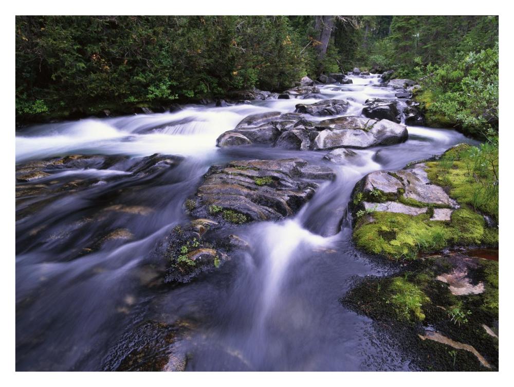 Paradise River, Mt Rainier National Park, Washington-Paper Art-34"x26"