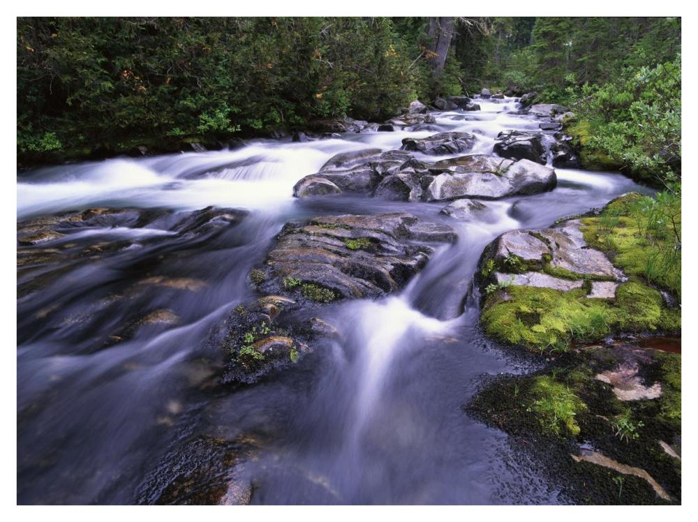 Paradise River, Mt Rainier National Park, Washington-Paper Art-42"x32"