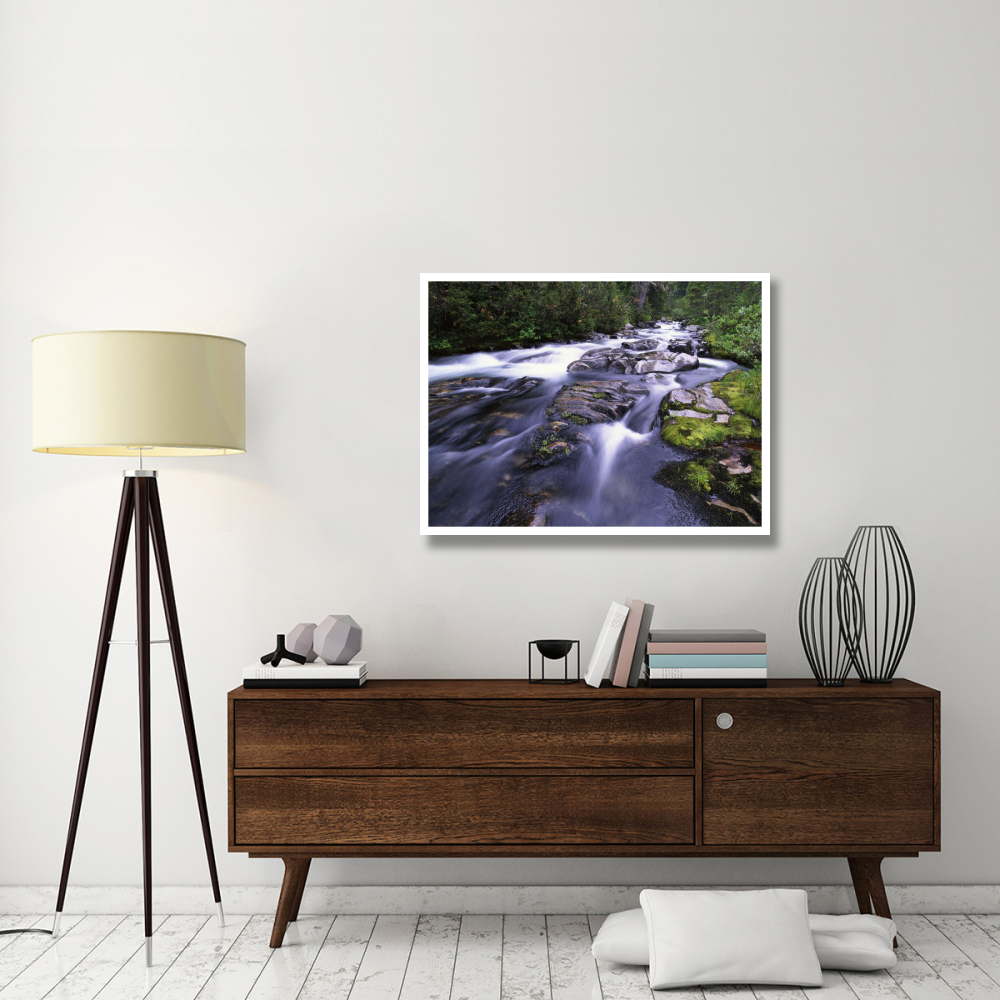 Paradise River, Mt Rainier National Park, Washington-Paper Art-42&quotx32"