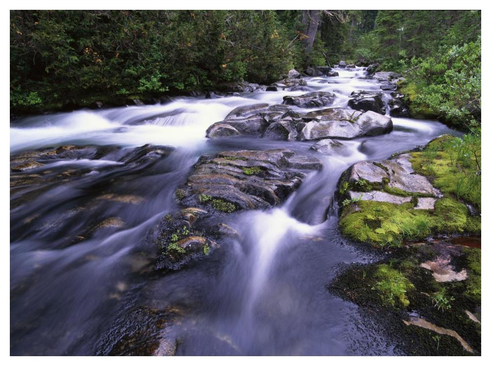 Paradise River, Mt Rainier National Park, Washington-Paper Art-50"x38"