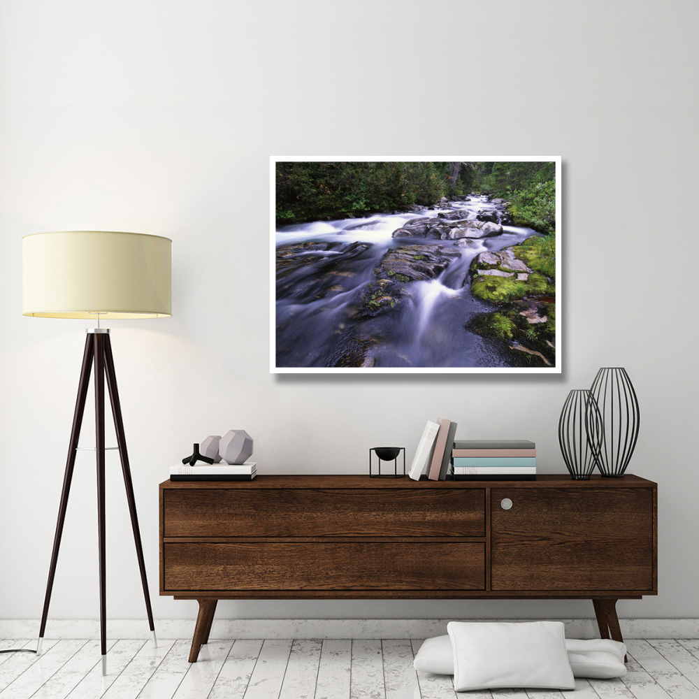Paradise River, Mt Rainier National Park, Washington-Paper Art-50&quotx38"