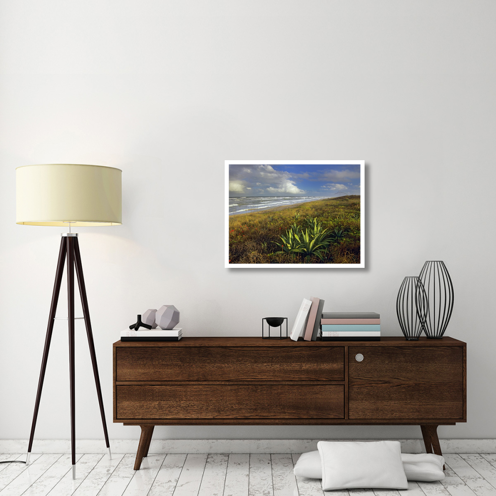 Apollo Beach at Canaveral National Seashore, Florida-Paper Art-34&quotx26"