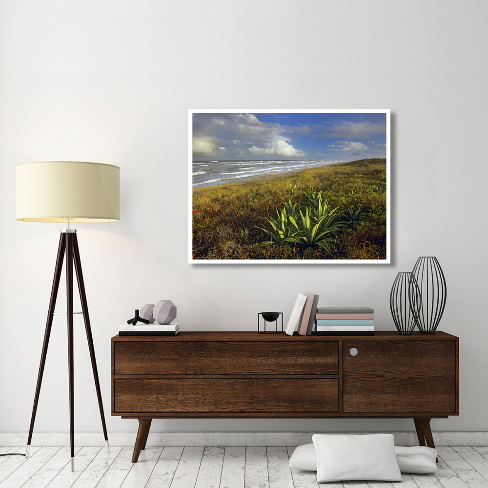 Apollo Beach at Canaveral National Seashore, Florida-Paper Art-50&quotx38"