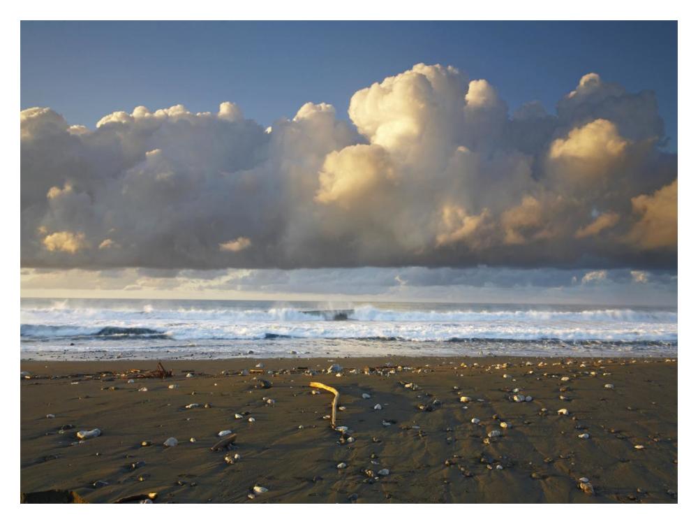 Beach and waves, Corcovado National Park, Costa Rica-Paper Art-18"x14"