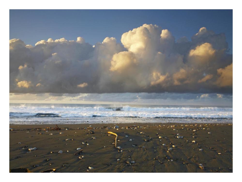 Beach and waves, Corcovado National Park, Costa Rica-Paper Art-26"x20"
