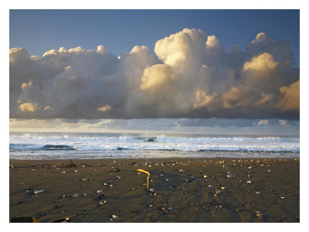 Beach and waves, Corcovado National Park, Costa Rica-Paper Art-34"x26"