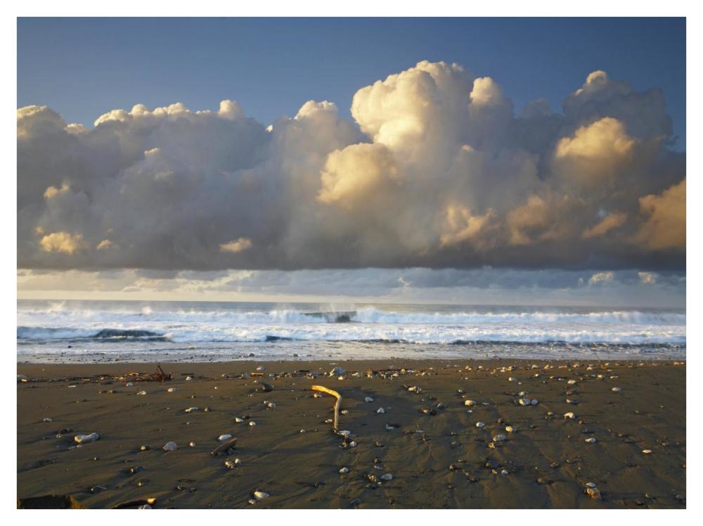 Beach and waves, Corcovado National Park, Costa Rica-Paper Art-42"x32"