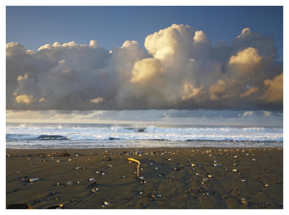 Beach and waves, Corcovado National Park, Costa Rica-Paper Art-50"x38"