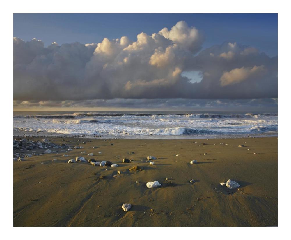 Beach and waves, Corcovado National Park, Costa Rica-Paper Art-22"x18"
