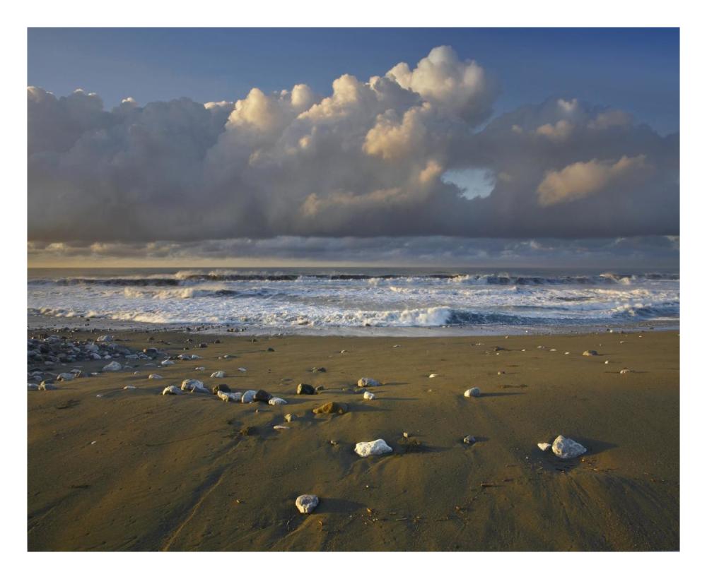 Beach and waves, Corcovado National Park, Costa Rica-Paper Art-26"x22"