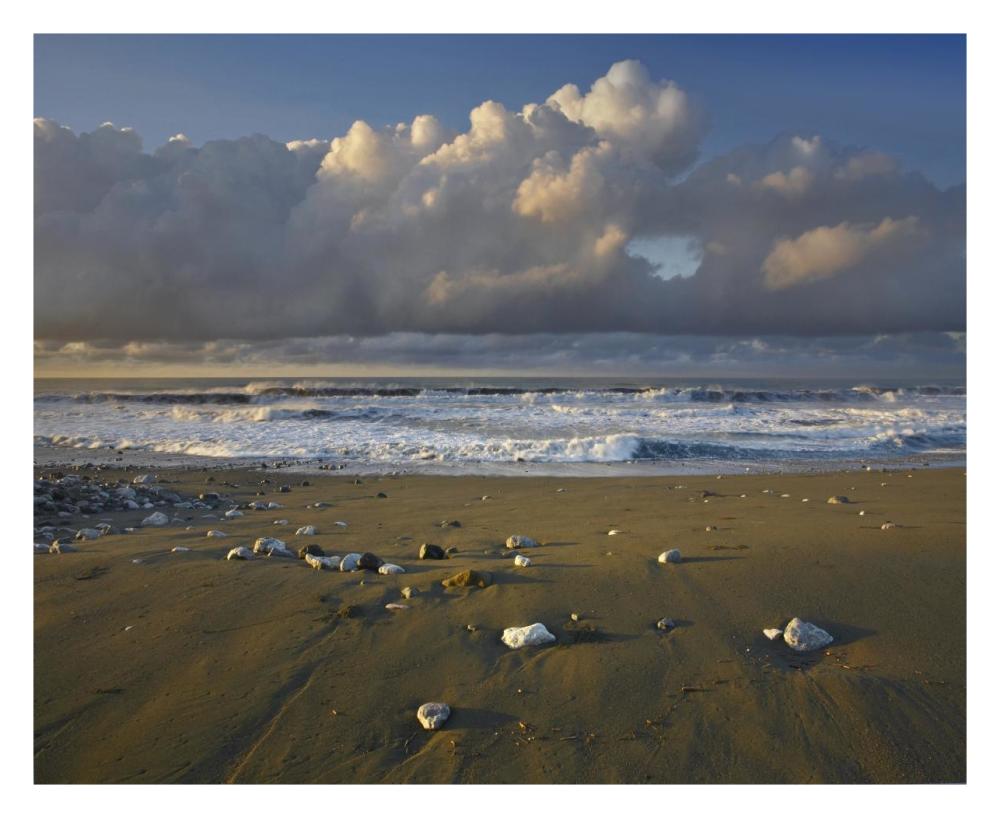 Beach and waves, Corcovado National Park, Costa Rica-Paper Art-30"x24"