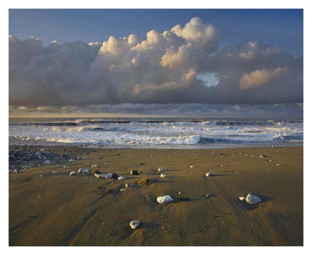 Beach and waves, Corcovado National Park, Costa Rica-Paper Art-37"x30"