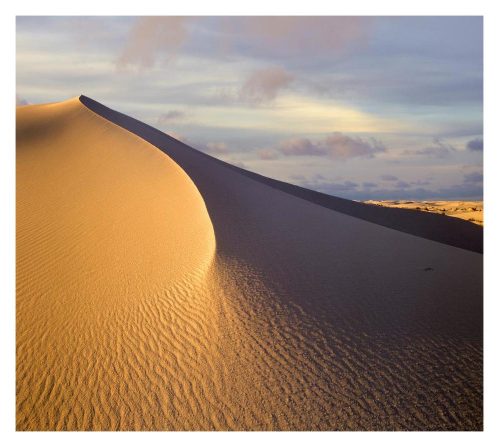 Sand dune, White Sands National Monument, New Mexico-Paper Art-32"x28.7"