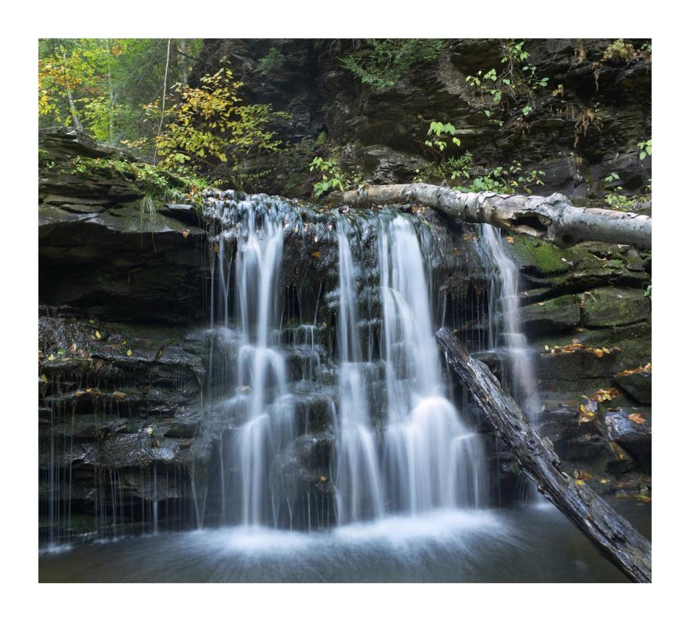 Seneca Falls, Ricketts Glen State Park, Pennsylvania-Paper Art-18"x16.24"