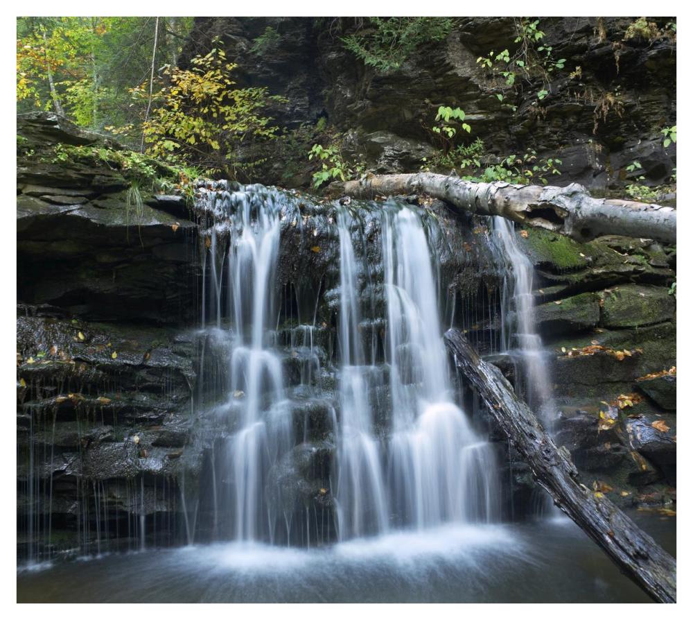 Seneca Falls, Ricketts Glen State Park, Pennsylvania-Paper Art-42"x37.6"