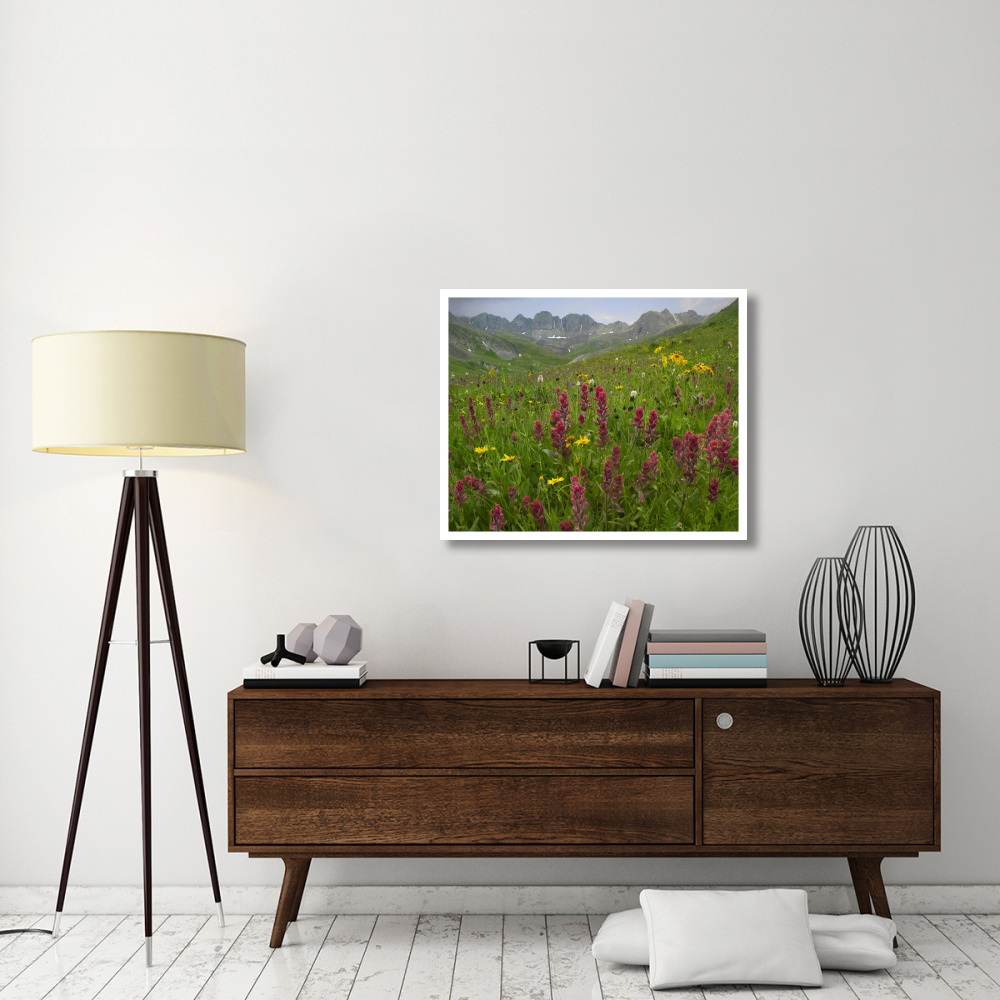 Indian Paintbrush meadow at American Basin, Colorado-Paper Art-37&quotx30"