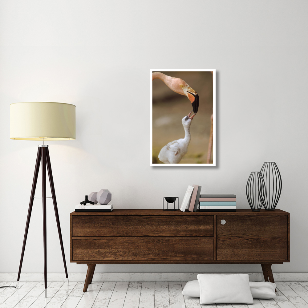 Greater Flamingo mother and chick, Caribbean species-Paper Art-26&quotx38"