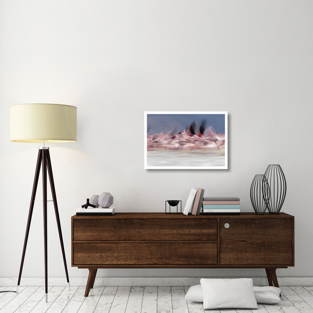 Lesser Flamingo group taking flight from lake, Kenya-Paper Art-32&quotx22"