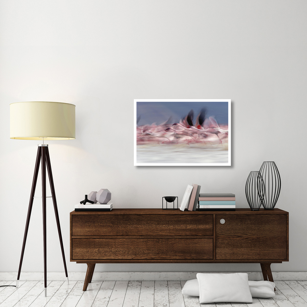 Lesser Flamingo group taking flight from lake, Kenya-Paper Art-38&quotx26"