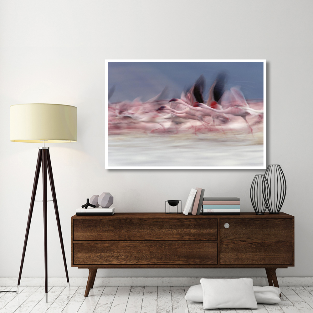 Lesser Flamingo group taking flight from lake, Kenya-Paper Art-62&quotx42"
