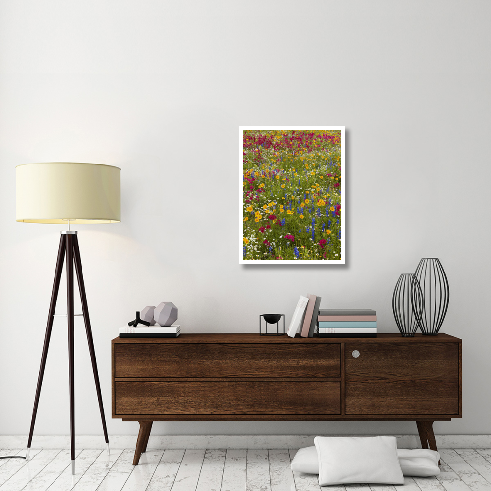 Drummond's Phlox and Bluebonnet near Westhoff, Texas-Paper Art-26&quotx34"