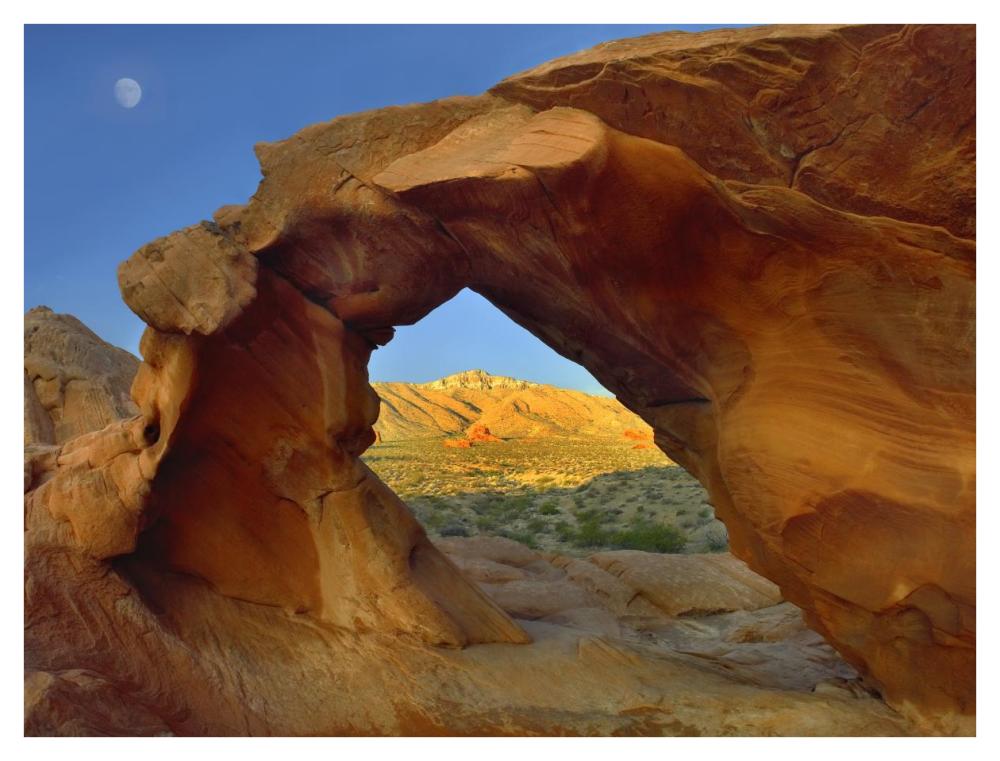 Arch Rock and moon, Valley of Fire State Park, Nevada-Paper Art-42"x32"