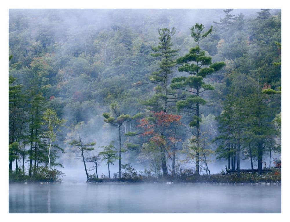 Emerald Lake in fog, Emerald Lake State Park, Vermont-Paper Art-34"x26"