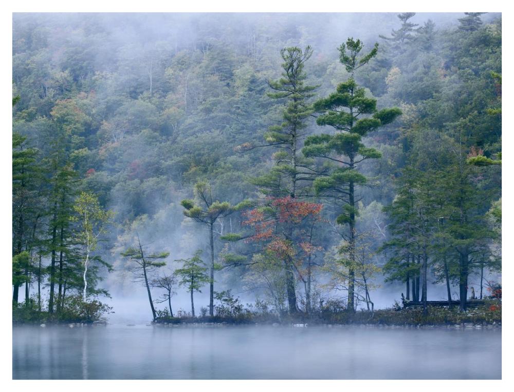 Emerald Lake in fog, Emerald Lake State Park, Vermont-Paper Art-42"x32"