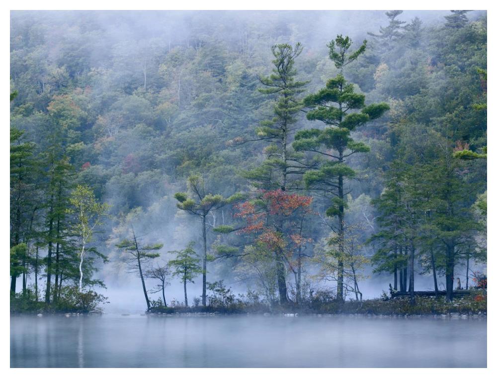 Emerald Lake in fog, Emerald Lake State Park, Vermont-Paper Art-50"x38"