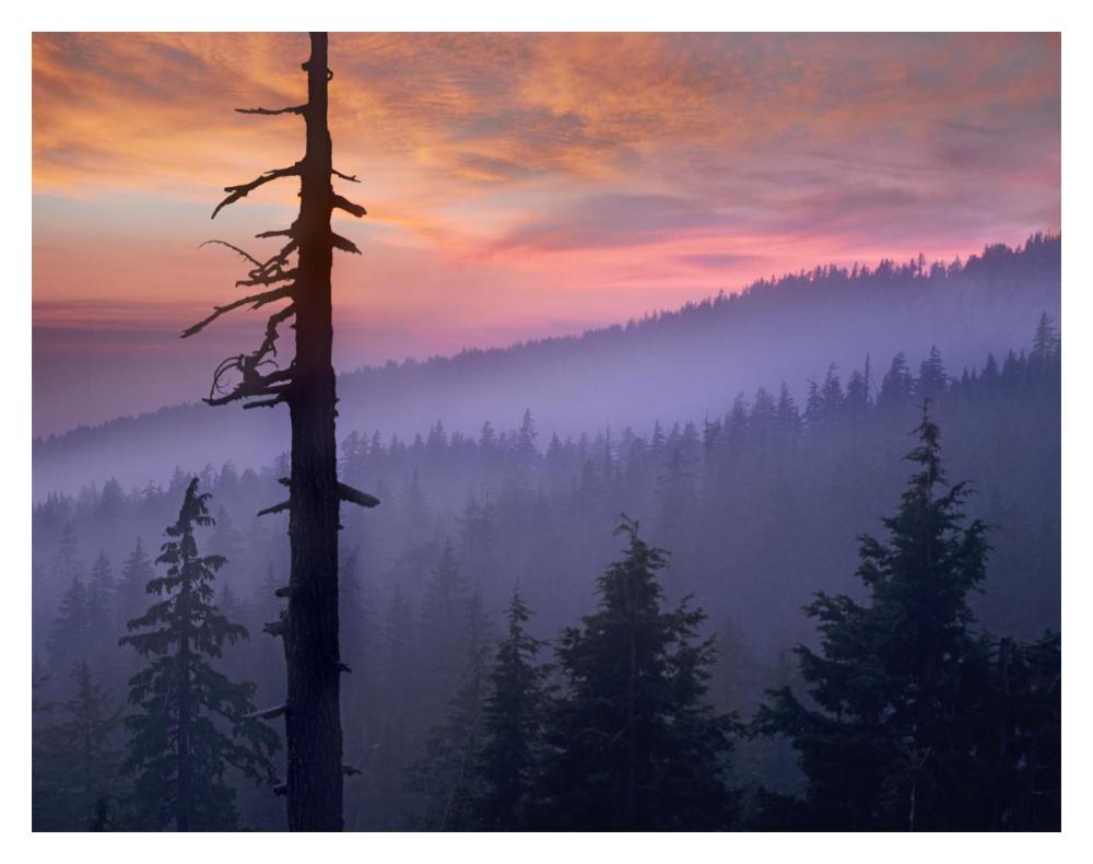 Sunset over forest, Crater Lake National Park, Oregon-Paper Art-18"x14"