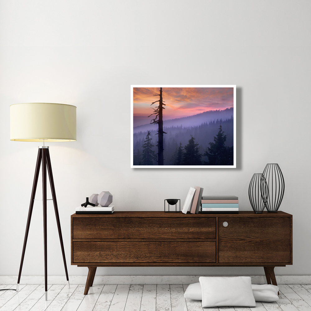 Sunset over forest, Crater Lake National Park, Oregon-Paper Art-42&quotx32"