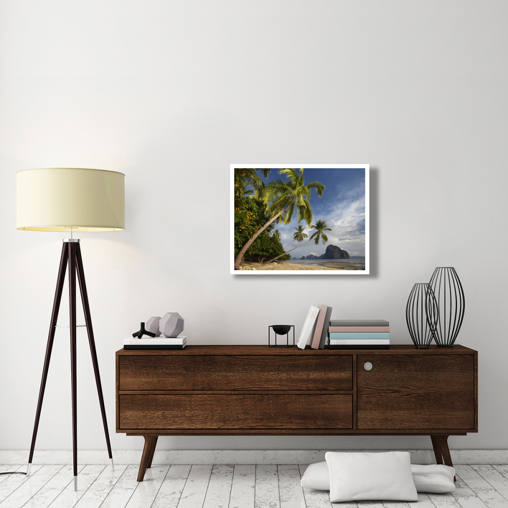 Palm trees, Pinagbuyutan Island, Palawan, Philippines-Paper Art-34&quotx26"