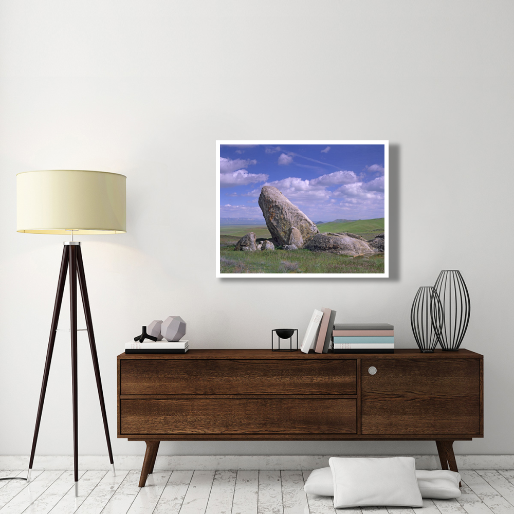 Boulders, Carrizo Plain National Monument, California-Paper Art-42&quotx32"