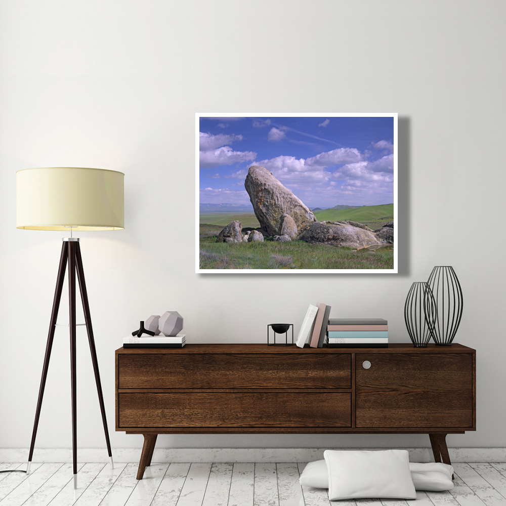 Boulders, Carrizo Plain National Monument, California-Paper Art-50&quotx38"