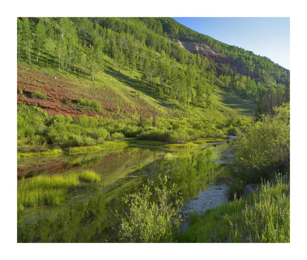 Rico Mountains and Dolores River backwaters, Colorado-Paper Art-18"x15.28"