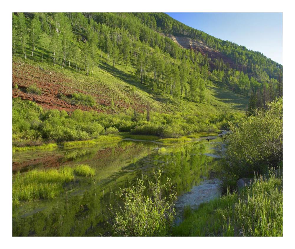 Rico Mountains and Dolores River backwaters, Colorado-Paper Art-24"x20.26"