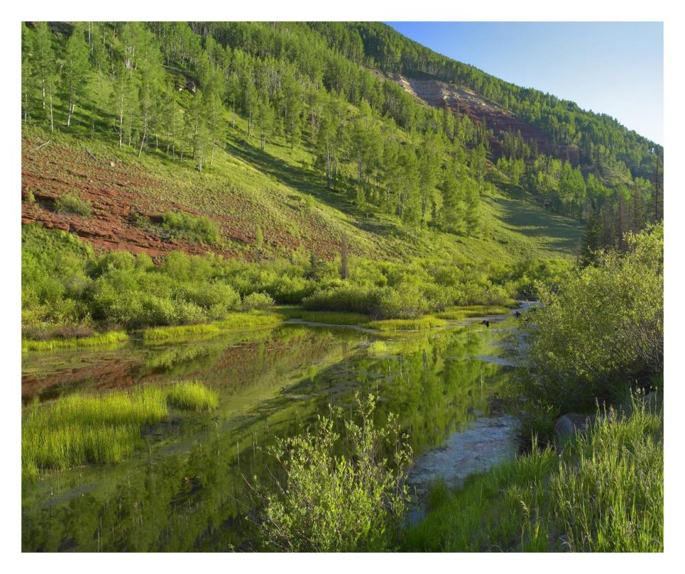 Rico Mountains and Dolores River backwaters, Colorado-Paper Art-32"x26.9"
