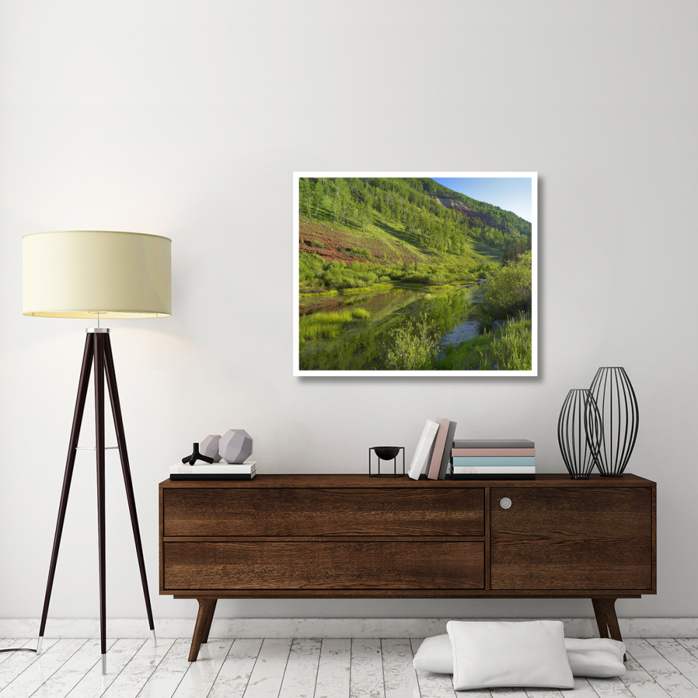 Rico Mountains and Dolores River backwaters, Colorado-Paper Art-42&quotx35.2"