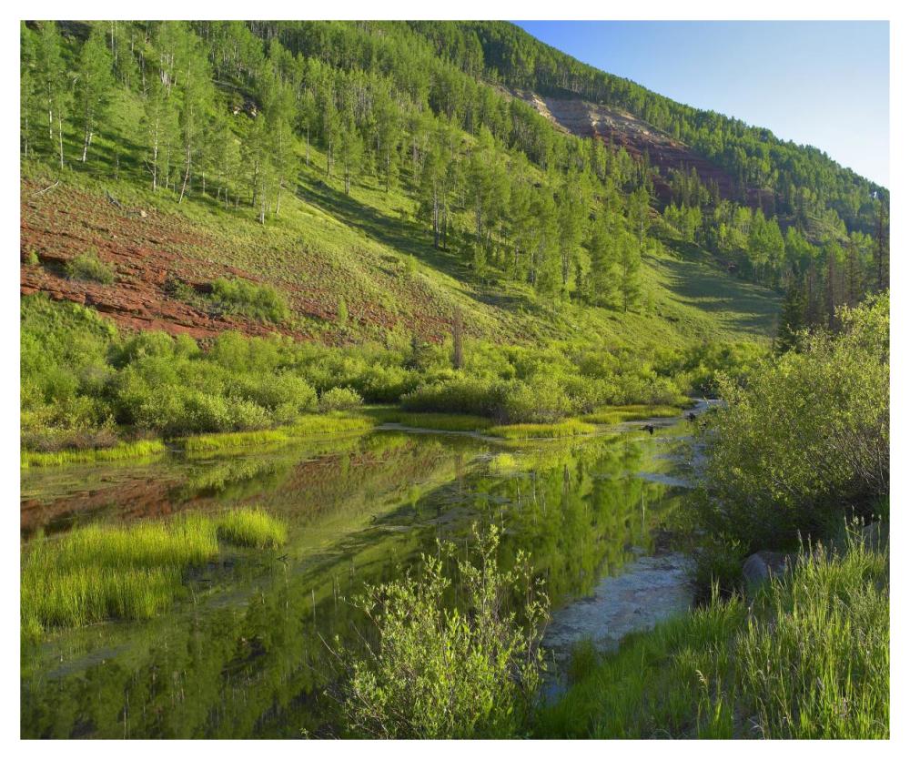 Rico Mountains and Dolores River backwaters, Colorado-Paper Art-46"x38.52"