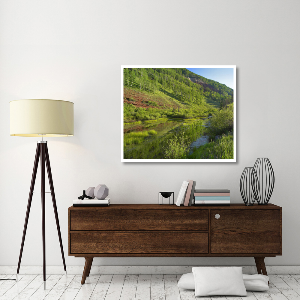 Rico Mountains and Dolores River backwaters, Colorado-Paper Art-46&quotx38.52"