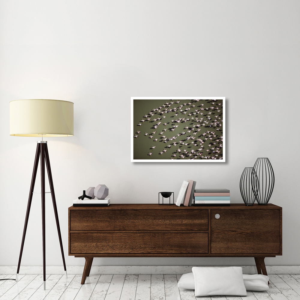 Lesser Flamingo group flock flying over a lake, Kenya-Paper Art-38&quotx26"