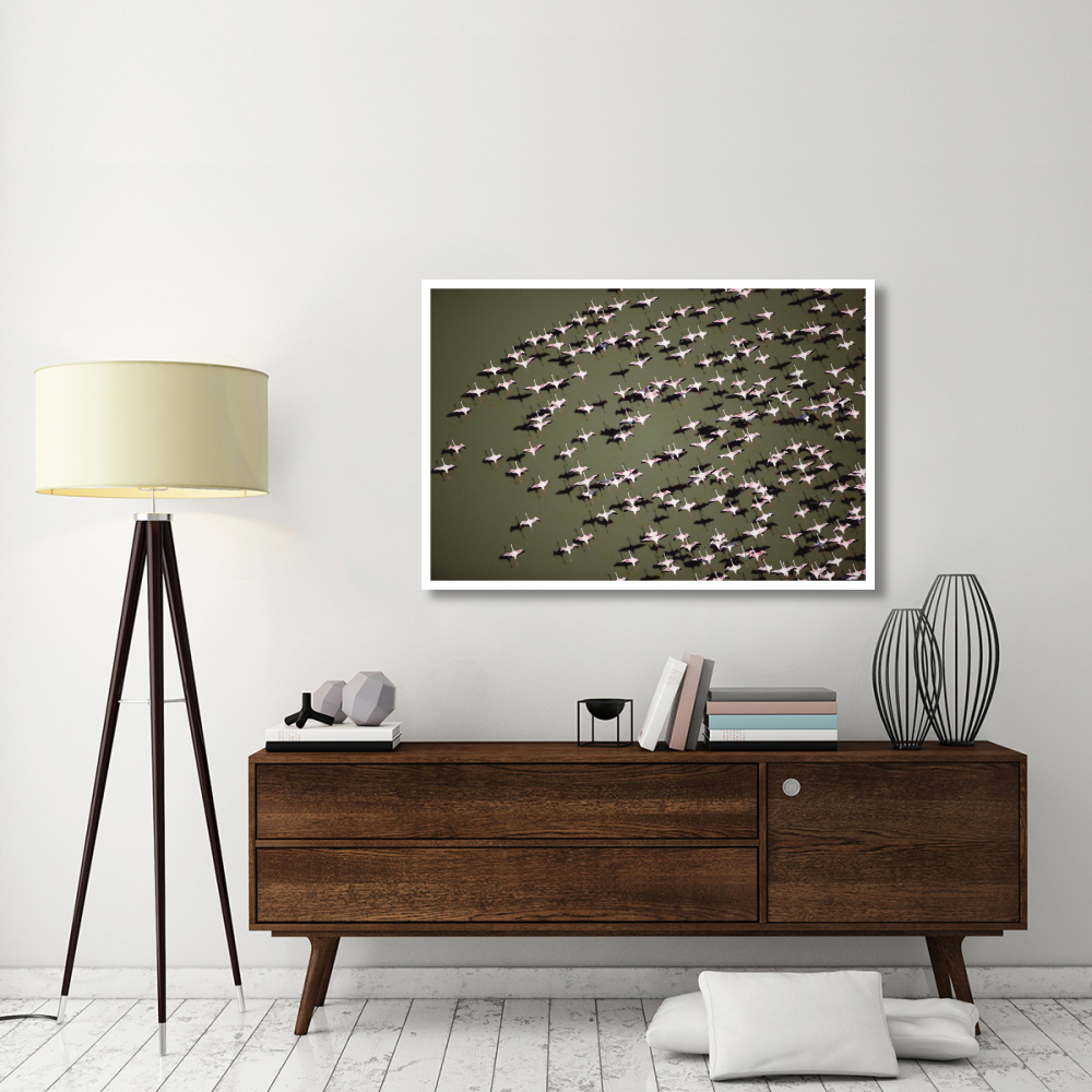 Lesser Flamingo group flock flying over a lake, Kenya-Paper Art-50&quotx34"