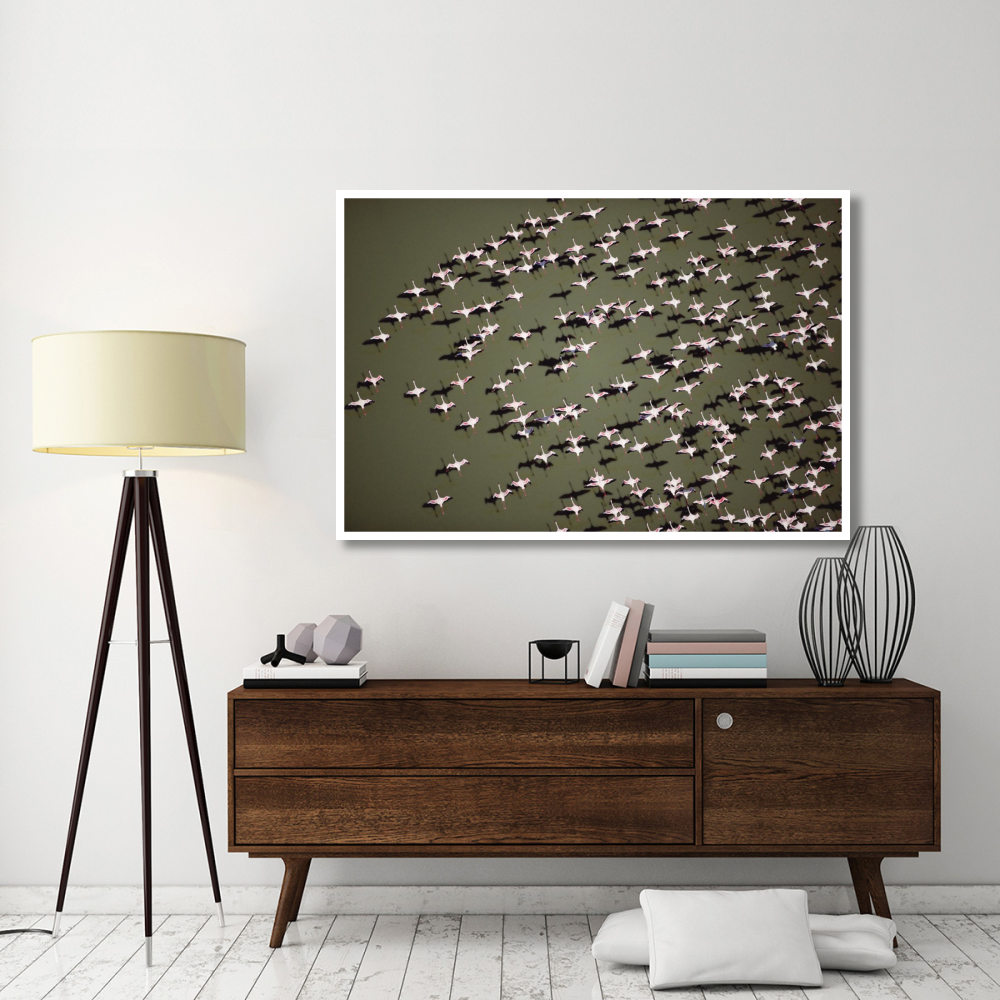 Lesser Flamingo group flock flying over a lake, Kenya-Paper Art-62&quotx42"
