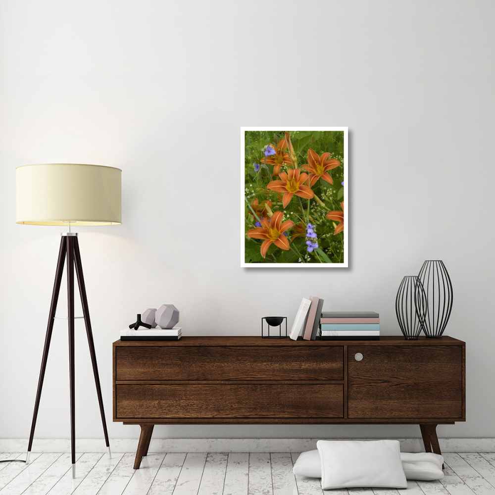 Orange Daylily with Virginia Spiderwort North America-Paper Art-26&quotx34"