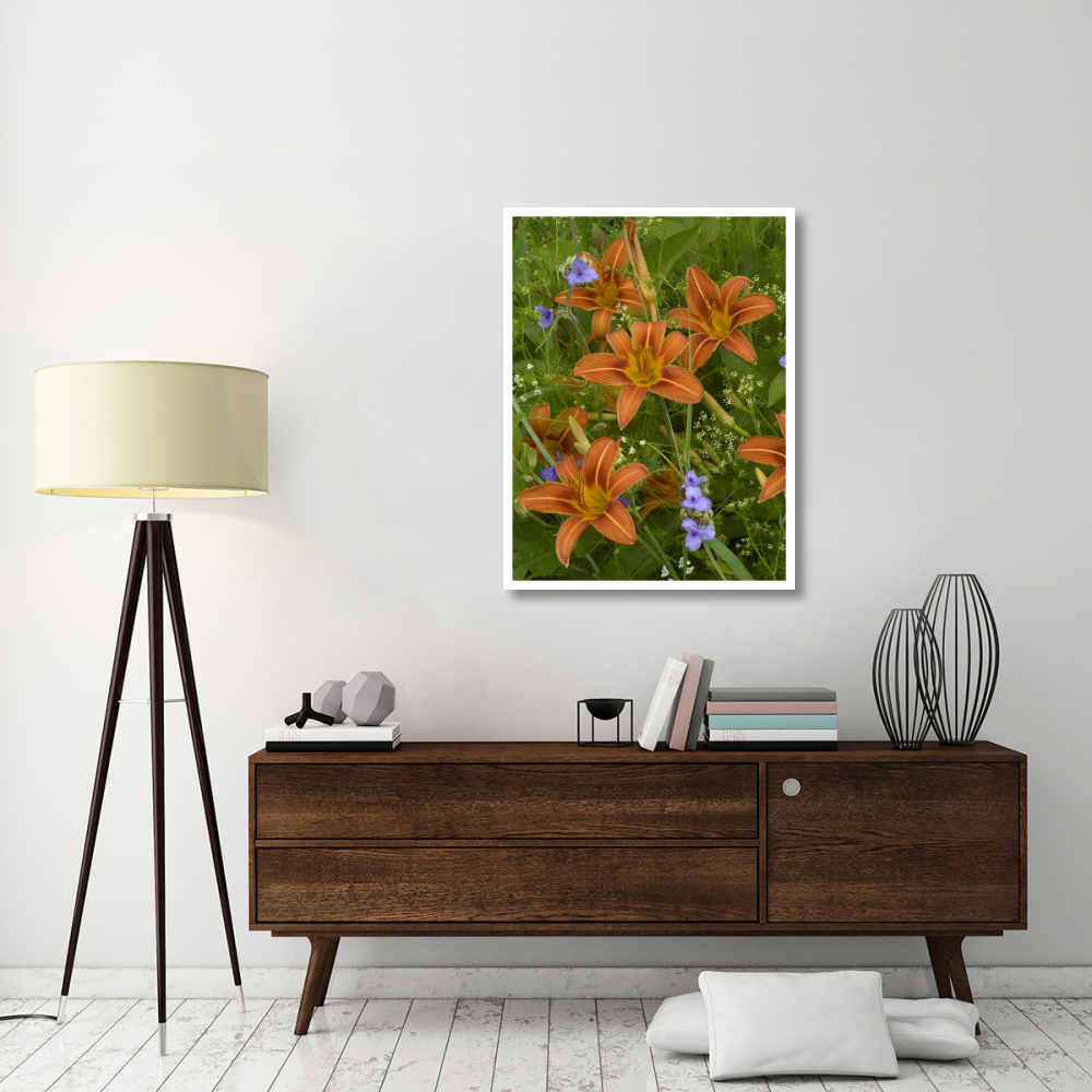 Orange Daylily with Virginia Spiderwort North America-Paper Art-32&quotx42"