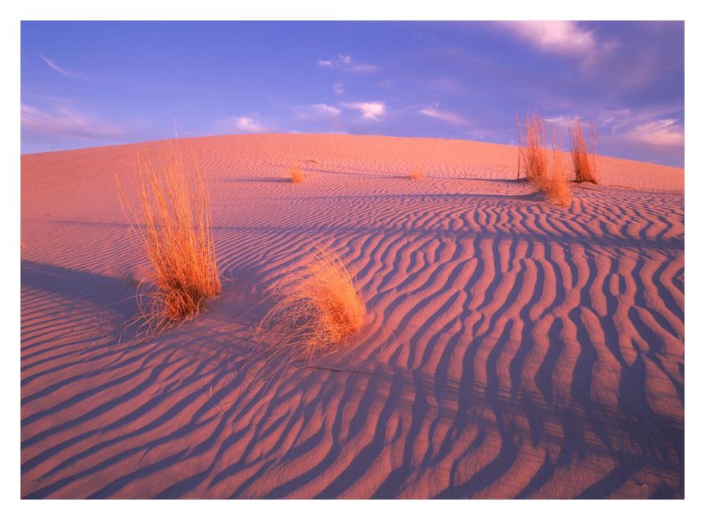 Gypsum dunes, Guadalupe Mountains National Park, Texas-Paper Art-18"x14"