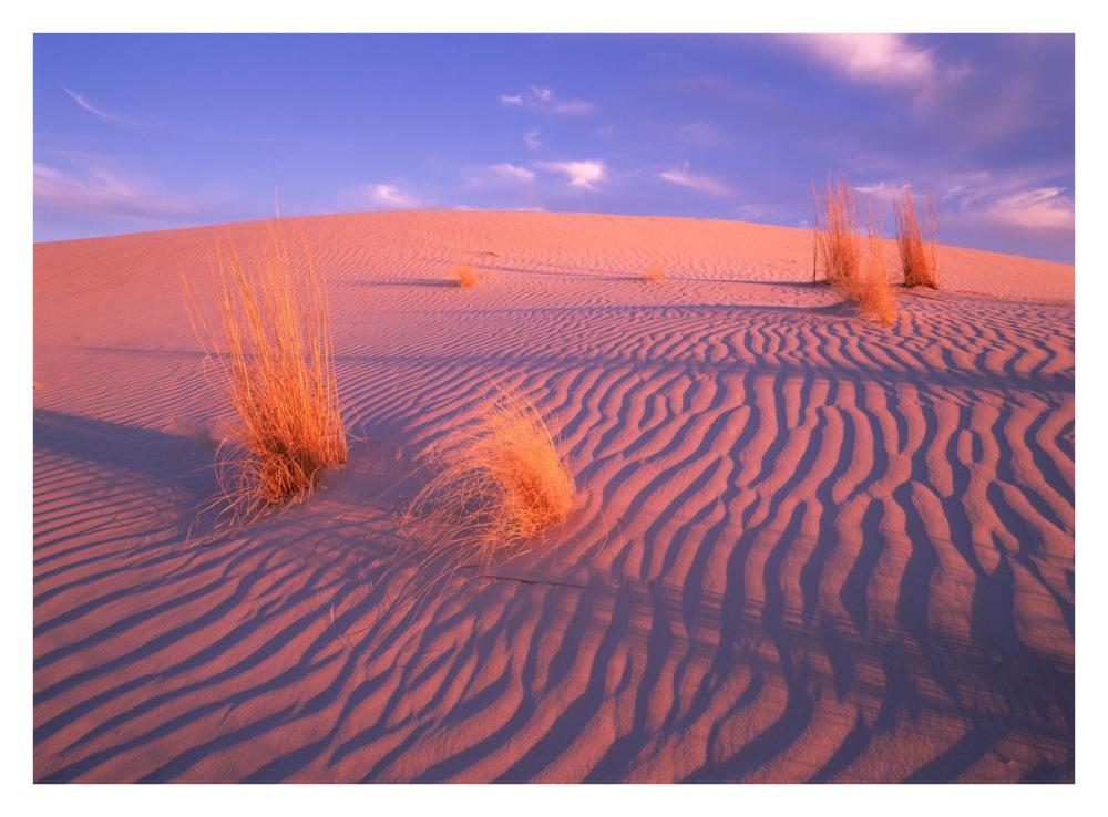 Gypsum dunes, Guadalupe Mountains National Park, Texas-Paper Art-34"x26"